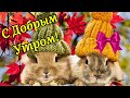 С Добрым Утром! Пусть На Душе Покой И Лад! Красивая Музыкальная Открытка Пожелание!