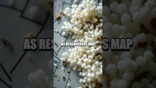 The Mycelium City Building With Fungi