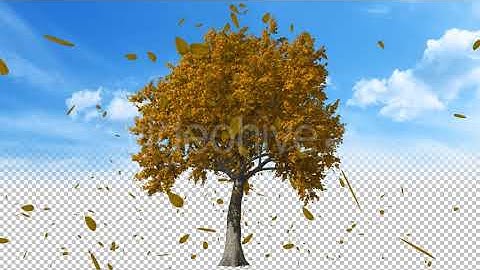 Blowing On The Wind Autumn Yellow Tree | Motion Graphics - Envato elements