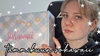 Tammikuun Sokawaii Box❄️✨️