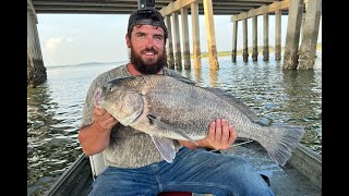 Fishing Hilton Head Island Big Black Drum Caught