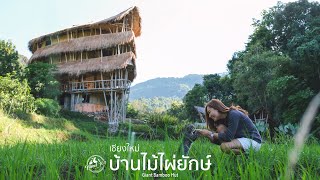 เที่ยวบ้านไม้ไผ่ยักษ์ กลางหุบเขา เชียงใหม่ | EP.84 Giant Bamboo Hut