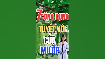 7 CÔNG DỤNG TUYỆT VỜI CỦA MƯỚP 👇👇👇#dsthi#duocnuongminhthi#healthy#tieuduong#becomed#muop#quamuop