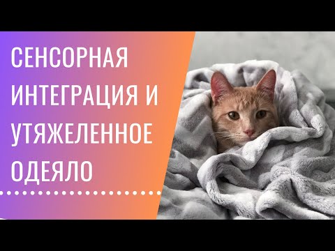 Утяжеленное одеяло и крепкий сон ребёнка. Мой опыт использования