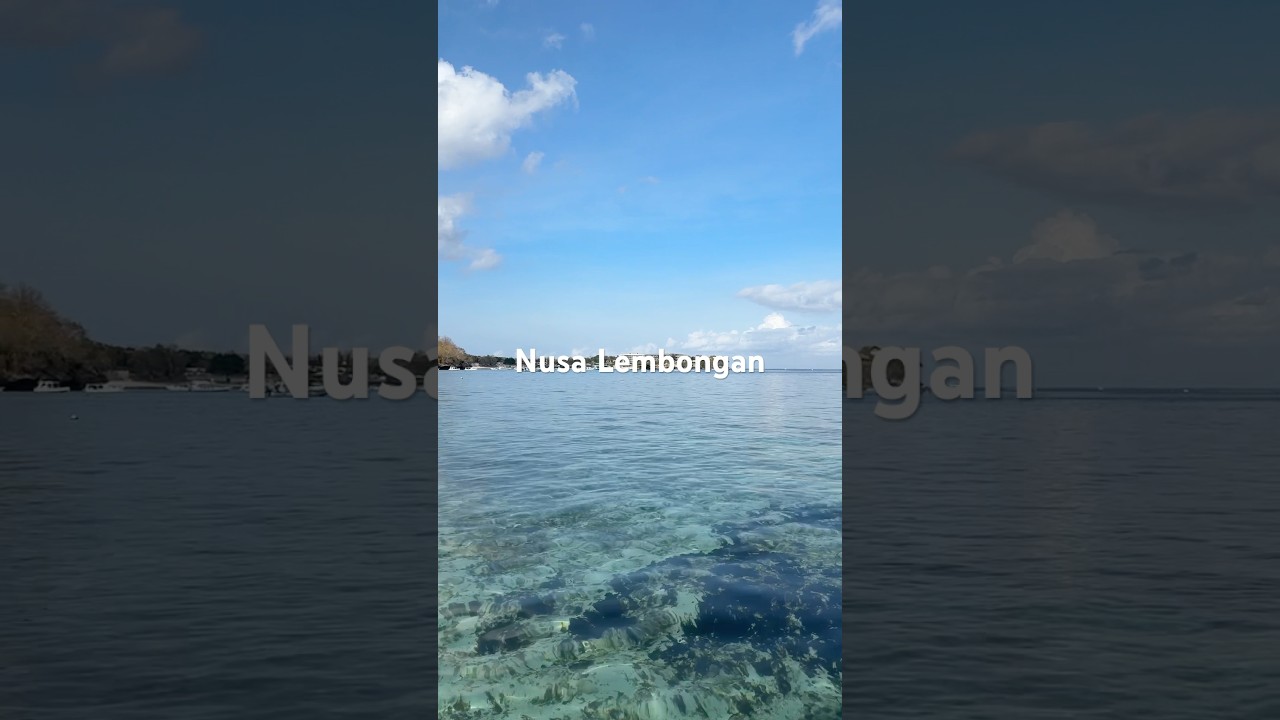 Diving in crystal clear waters. 