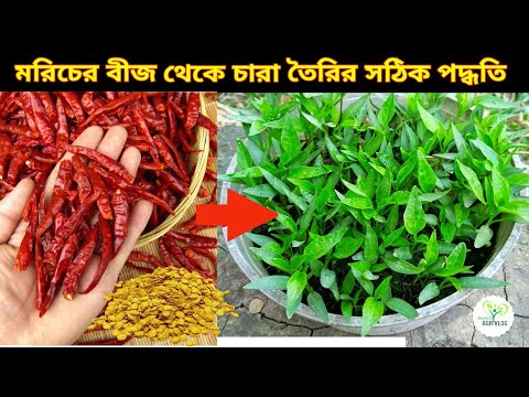 ভিডিও: বীজ থেকে মরিচ বাড়ানোর টি উপায়