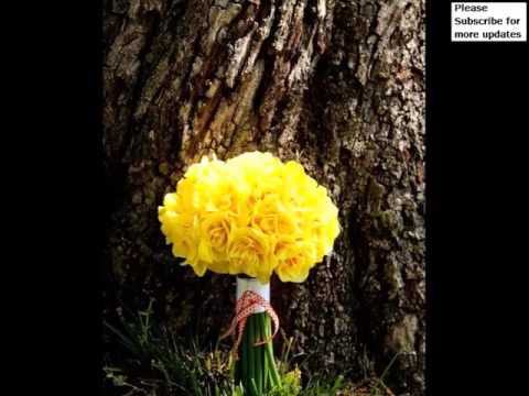 yellow-carnation-bouquet-|-collection-of-pictures-of-flowers