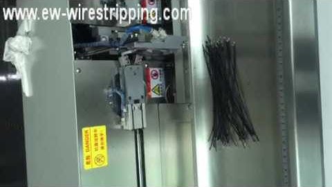 EW 22F Automatic double head tinning machine