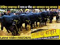 देखिए लखनऊ-हरदोई रोड पर स्थित दूधारू गाय व भैंस का शानदार पशु बाजार👌/ Latest Video बाज नगर पशु बाजार