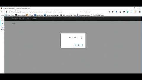 Web For Pentester - XSS Example 1