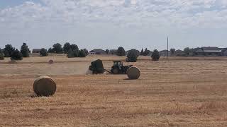 Baling Triticale