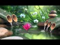 Relaxing Music for Sleep, Healing, Concentration, Work, Calming Music,Meditation Music, Nature Sound