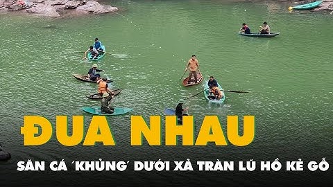 Video người dân săn được hàng chục con cá 