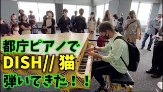 DISH// 猫 を都庁ピアノで弾いてきた！