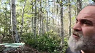 Dağların Hikayesi Orman Evi 1.Bölüm