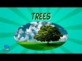 The Essential Role of Trees in Our Ecosystem