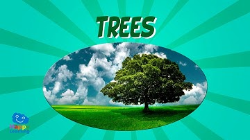 Trees | Educational Video for Kids