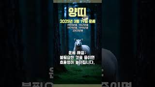 [2025년 3월 19일 양띠 오늘의운세]  하던 일을 줄이면서 실리를 추구하고 지출을 줄여라. #양띠 #운…