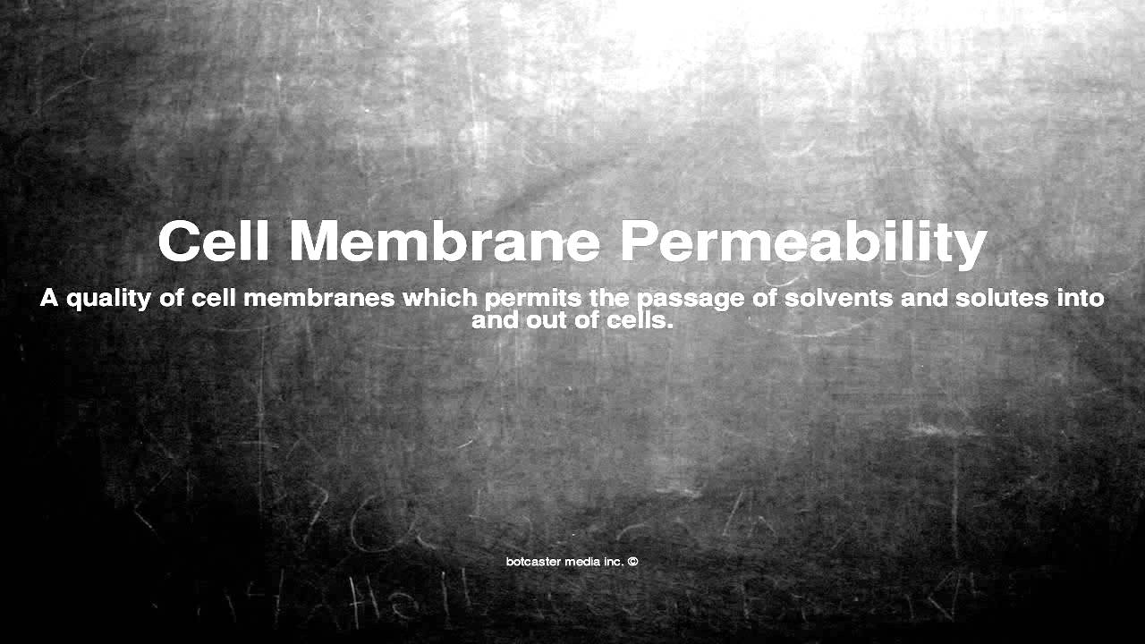Medical Vocabulary What Does Cell Membrane Permeability Mean YouTube