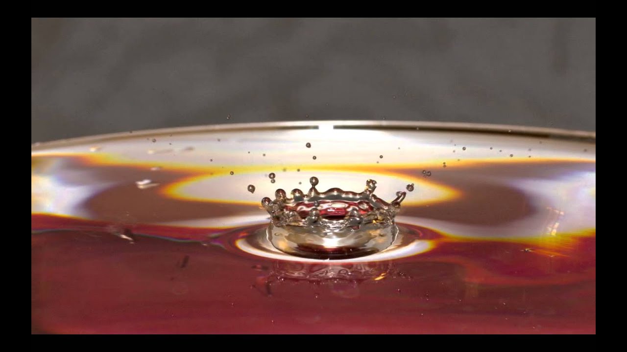 Gouttes d'eau extraordinaires et naturelles. YouTube