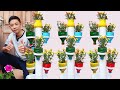 Amazing Plastic Bottle Tower Pots, DIY Plastic Bottle Garden Ideas for Home