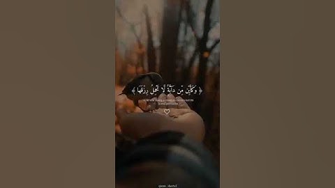 الَّذِينَ صَبَرُوا وَعَلَىٰ رَبِّهِمْ يَتَوَكَّلُونَ / سوره النحل