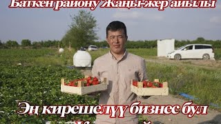 #Batken #Баткен району жаңы-жер айылы #Кулпунай өстүрүү же болбосом негизи киреше булагы 💵💵💵💰💰💰