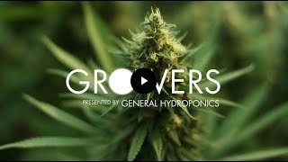 Growers: Series Intro
