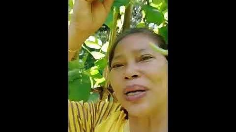 johnellis1993 Videos #33