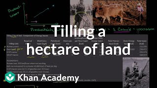 Energy inputs for tilling a hectare of land | Cosmology & Astronomy | Khan Academy