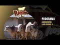 582 gyr l produccin de leche en el trpico dr tomas garca l ganadera las rosas l ozuluama ver