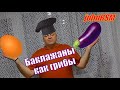 ГОТОВИМ баклажаны как грибы.