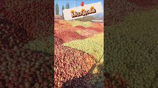 Moldova today #