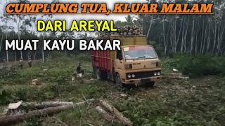 TRUK UMPLUNG || NEKAT PULANG MALAM, MUAT KAYU, DARI AREYAL‼️