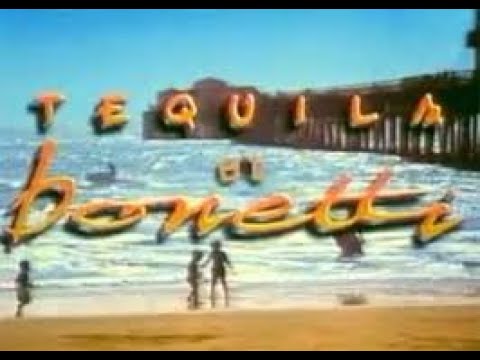 Generique de la serie Tequila et Bonetti
