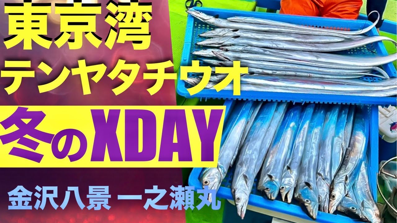 【東京湾テンヤタチウオ】入れ食い！真冬のX DAY【金沢八景一之瀬丸】