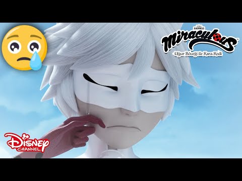 Beyaz Kedicik 🙀😟| Mucize: Uğur Böceği ile Kara Kedi | Disney Channel TR