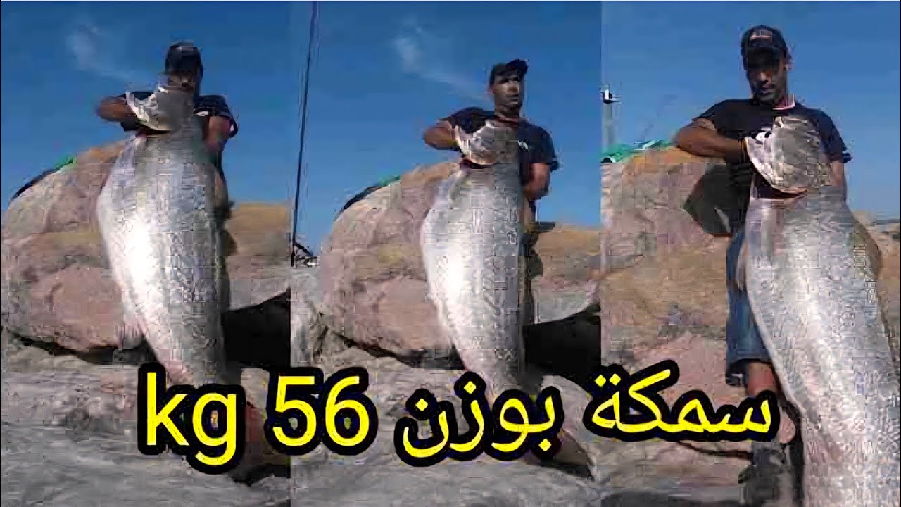 الجديد مع الرايس عبدالإلاه🎣صيد أكبر سمكة في المغرب بالقصبة