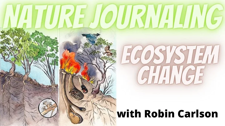 Nature Journaling Ecosystem Change: Robin Carlson ...