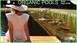 Making an Organic Pool  step by step