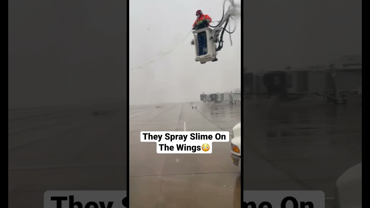 They Spray Slime On The Wings😳 