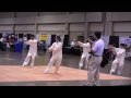 42式太极剑 - Yang&#39;s Tai-Chi Kung-Fu Academy