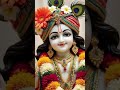 हरे कृष्णा