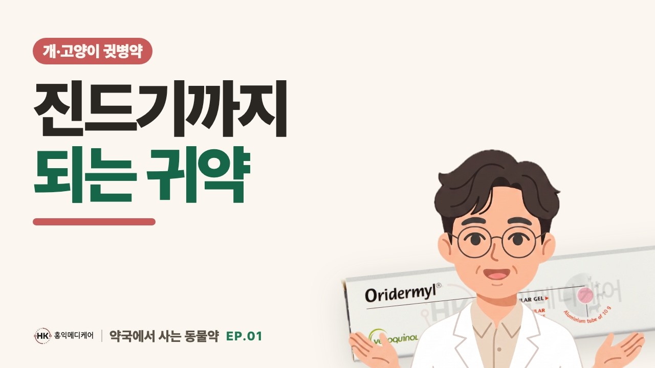 진드기약 퍼메트린이 포함된 강아지 귓병약 오리더밀