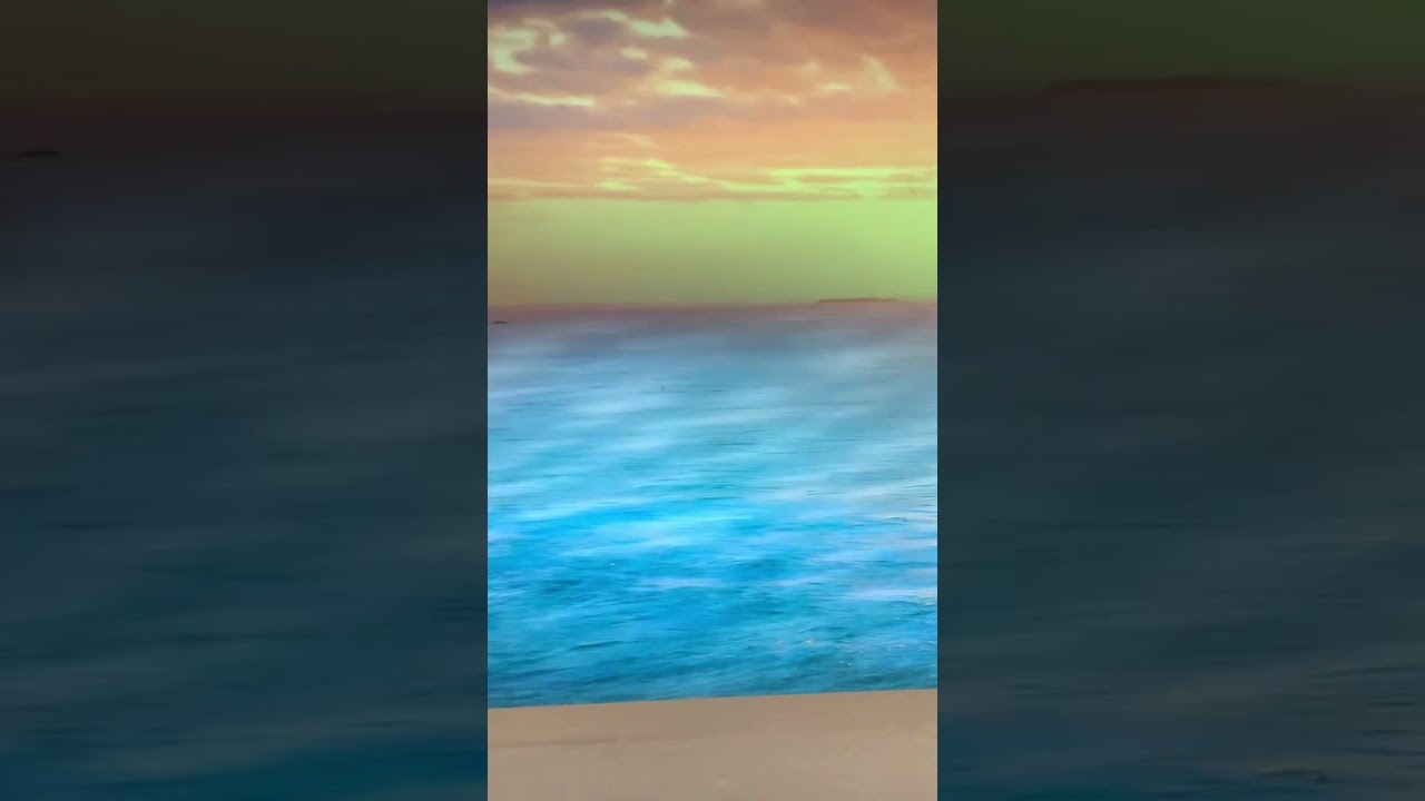 Vintage Visiontac motion & sound mirror sunset lighthouse ocean birds