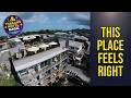 Cheeky Monkey Samui Hostel - This Place Feels Right | Koh Samui, Thailand🌟