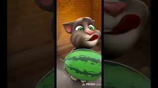talking tom game