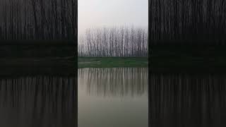 Islamic videos kurane Pak ka tarjuma