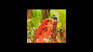 holi festival #happyholi #song #radhakrishna #sumellika