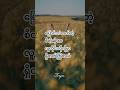 ပြောင်းလဲတတ်တဲ့စိတ် #foryou #knowledge #motivation #quotes #shortvideo